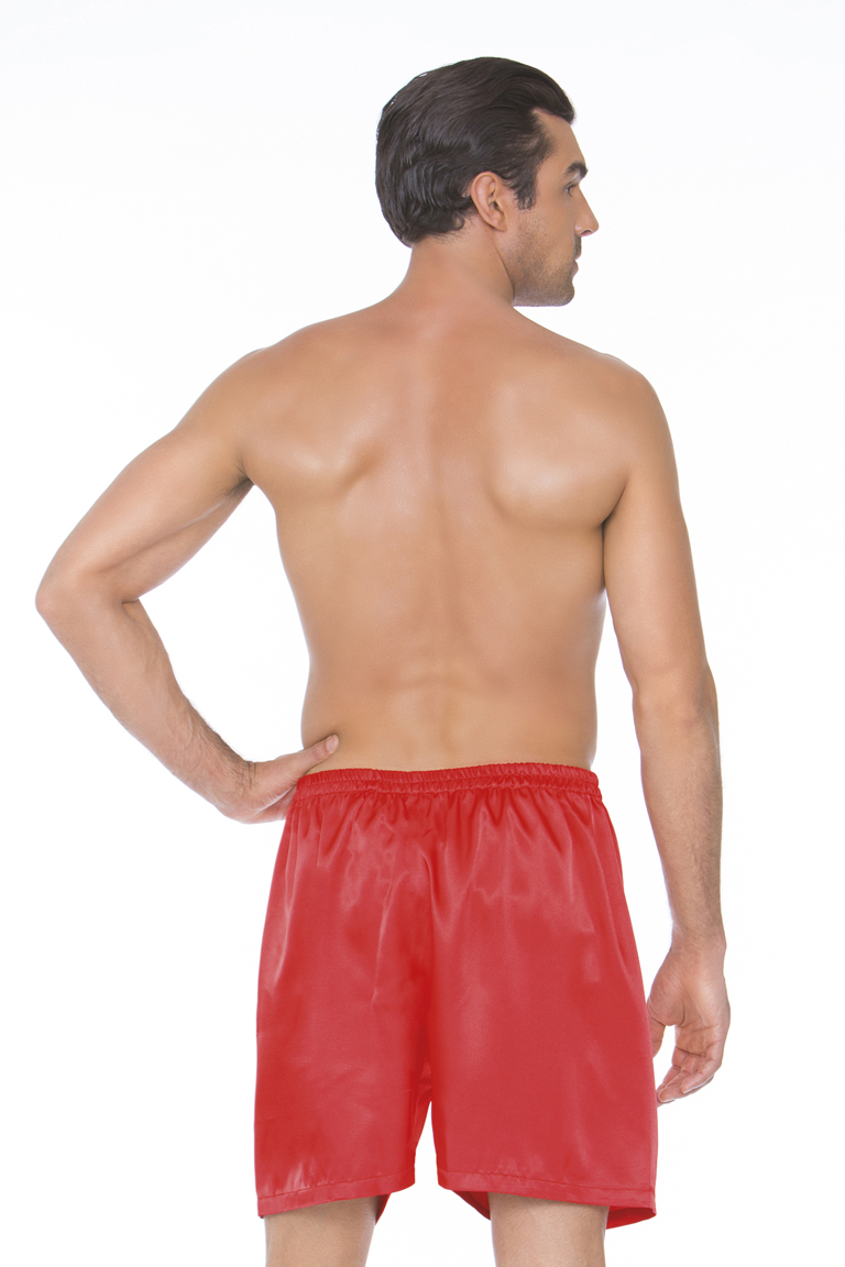 Men’s Satin Shorts - 8801